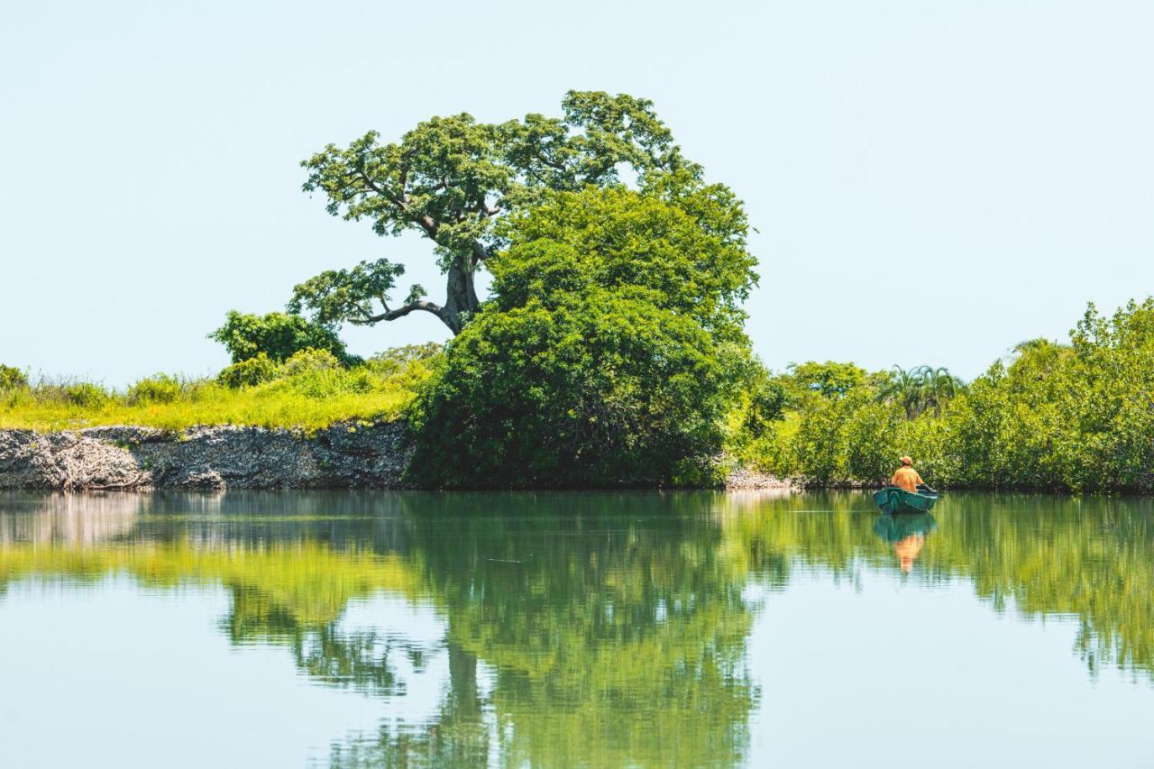 Tamba Kuruba Eco-Lodge Folonko Exteriör bild